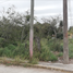 Terrain à vendre à Tampico Alto, Veracruz, Tampico Alto, Veracruz