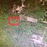  Land for sale in Merida, Yucatan, Merida, Yucatan