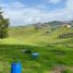 Studio Villa for sale in San Carlos, Antioquia, San Carlos
