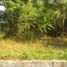  Land for sale in Depok, Sleman, Depok