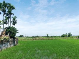  Terrain for sale in Cam Thanh, Hoi An, Cam Thanh