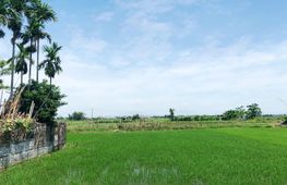 Bán đất nền, 1000 m², Cẩm Thanh
