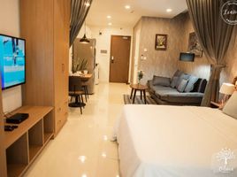 1 Phòng ngủ Chung cư for rent in Phường 4, Quận 4, Phường 4