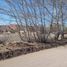  Land for sale in Collon Cura, Neuquen, Collon Cura