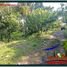  Land for sale in Selemadeg, Tabanan, Selemadeg