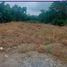  Land for sale in La Peana, El Oro, La Peana, Pasaje, El Oro