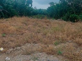  Terreno (Parcela) en venta en Pasaje, El Oro, La Peaña, Pasaje