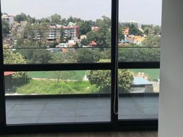 1 Schlafzimmer Wohnung zu vermieten in Naucalpan De Juarez, Mexico, Naucalpan De Juarez, Mexico