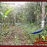  Land for sale in Selemadeg, Tabanan, Selemadeg