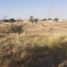  Land for sale in Tonala, Jalisco, Tonala