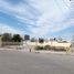  Land for rent in Hermosillo, Sonora, Hermosillo, Sonora