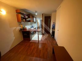 1 Habitación Apartamento en venta en Chile, Puente Alto, Cordillera, Santiago, Chile