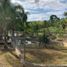  Land for sale in Emiliano Zapata, Veracruz, Emiliano Zapata