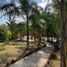  Land for sale in Emiliano Zapata, Veracruz, Emiliano Zapata