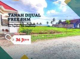  Land for sale in Banyuwangi, East Jawa, Gambiran, Banyuwangi