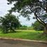  Terreno (Parcela) en venta en Santa Rosa City, Calabarzon, Santa Rosa City, Laguna, Calabarzon