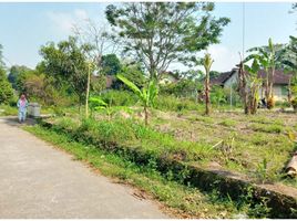 3 Schlafzimmer Villa zu verkaufen in Sleman, Yogyakarta, Seyegan