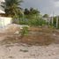 Terrain à vendre à Chicxulub Pueblo, Yucatan, Chicxulub Pueblo