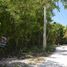 Terrain à vendre à Cozumel, Quintana Roo, Cozumel