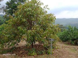  Land for sale in Bogor Selatan, Bogor, Bogor Selatan