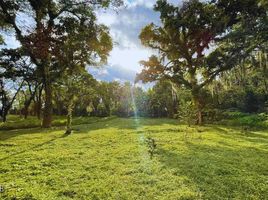  Land for sale in Xico, Veracruz, Xico
