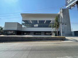 797 m² Office for rent in Jalisco, Guadalajara, Jalisco