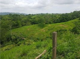 Studio Villa for sale in La Chorrera, Panama Oeste, Los Diaz, La Chorrera