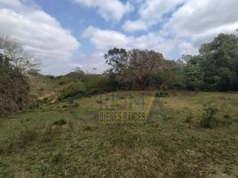 Estudio Casa en venta en Veracruz, Temapache, Veracruz