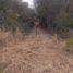  Land for sale in Patino, Formosa, Patino, Formosa