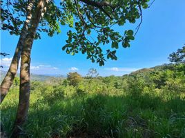 Studio Villa zu verkaufen in Boquete, Chiriqui, Caldera