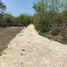  Grundstück zu verkaufen in Acanceh, Yucatan, Acanceh