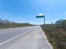  Grundstück zu verkaufen in Merida, Yucatan, Merida, Yucatan