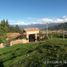 Studio Villa for sale in Tibasosa, Boyaca, Tibasosa, Boyaca