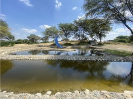  Terreno (Parcela) en venta en Piura, Piura, Piura, Piura, Piura