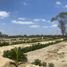  Terreno (Parcela) en venta en Piura, Piura, Piura, Piura, Piura