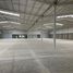 10,764 Sqft Office for rent in Matamoros, Coahuila, Matamoros