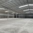 10,764 Sqft Office for rent in Matamoros, Coahuila, Matamoros