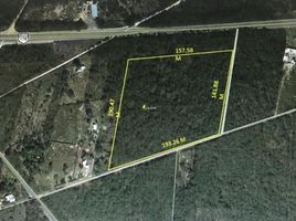  Terreno (Parcela) en venta en Motul, Yucatán, Motul