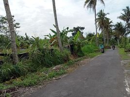  Tanah for sale in Pakem, Yogyakarta, Pakem, Sleman