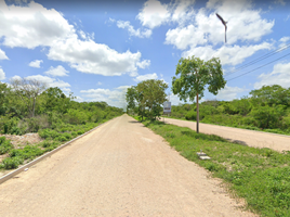  Grundstück zu verkaufen in Yaxkukul, Yucatan, Yaxkukul