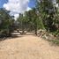 Terrain à vendre à Cozumel, Quintana Roo, Cozumel