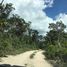 Terrain à vendre à Cozumel, Quintana Roo, Cozumel