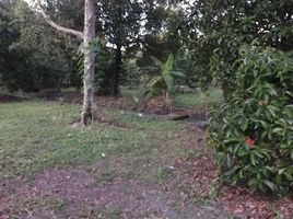  Land for sale in Lai Thieu, Binh Duong, Lai Thieu, Thuan An