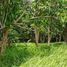  Land for sale in Victorias City, Negros Occidental, Victorias City