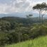  Land for sale in Cali, Valle Del Cauca, Cali