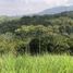  Land for sale in Cali, Valle Del Cauca, Cali