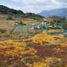 Terrain à vendre à Valle De Bravo, Mexico, Valle De Bravo, Mexico