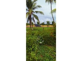  Land for sale in David, Chiriqui, David, David