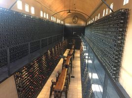  Grundstück zu verkaufen in Allende, Guanajuato, Allende