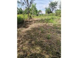  Terreno (Parcela) en venta en Bugaba, Chiriquí, San Andrés, Bugaba